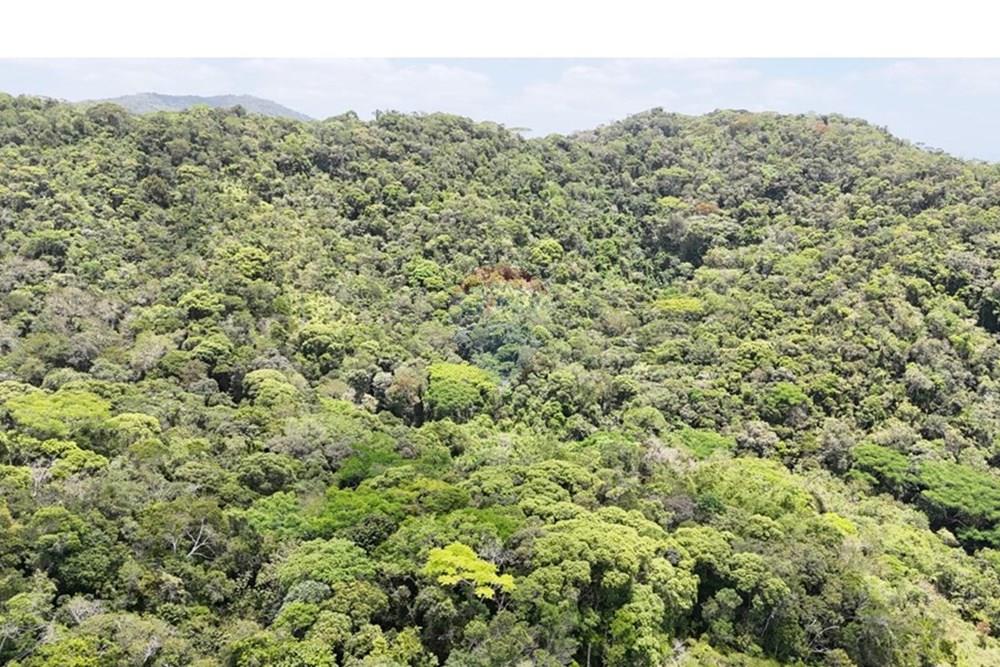 Fazenda - Venda - Pariquera-Açu , São Paulo - WhatsApp Image 2026-03-18 at 16.42.18.jpeg - 690061038-24