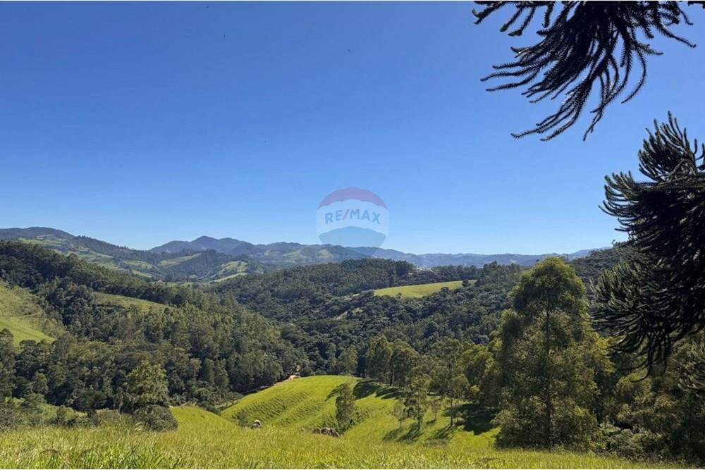 Chácara / Sítio / Fazenda - Venda - Joanópolis , São Paulo - photo_5019612001088941351_y.jpg - 690041001-120