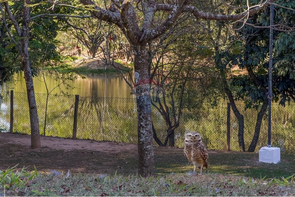 Casa de Condomínio - Venda - Louveira , São Paulo - Cópia de TKD-7568.jpg - 690941044-8