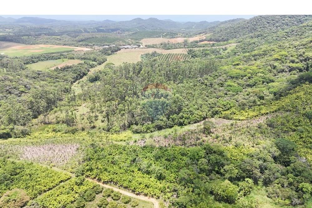 Fazenda - Venda - Pariquera-Açu , São Paulo - WhatsApp Image 2026-03-18 at 16.42.24 (1).jpeg - 690061038-24