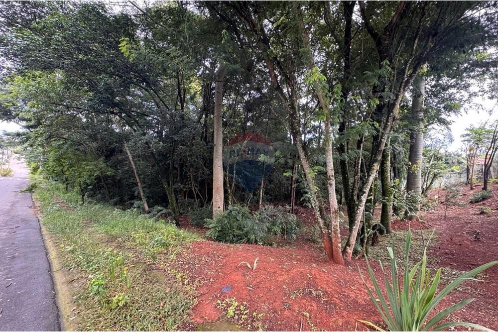 Terreno - Venda - Bragança Paulista , São Paulo - photo_4944970185358553105_y.jpg - 690041052-61