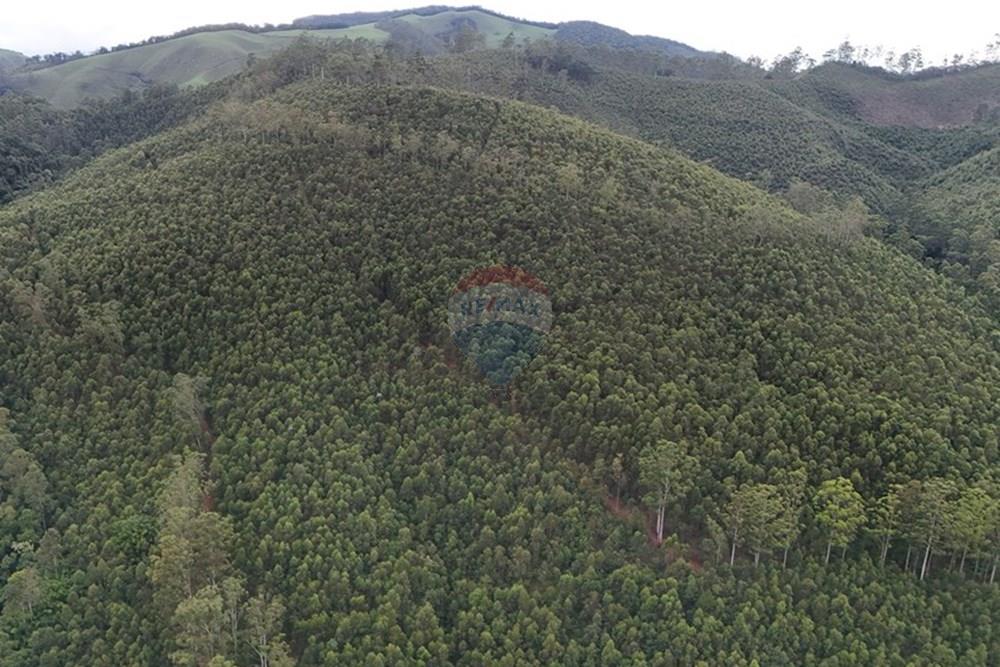 Chácara / Sítio / Fazenda - Venda - Piracaia , São Paulo - dji_fly_20260224_171100_0062_1771962485149_photo.jpg - 691011027-7