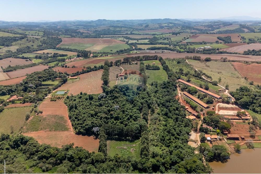 Chácara / Sítio / Fazenda - Venda - Morungaba , São Paulo - TKD-9537.jpg - 690661002-89