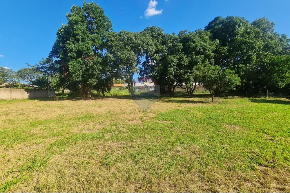 Agro - Alugar - Artur Nogueira , São Paulo - 20251120_160356.jpg - 690671009-93