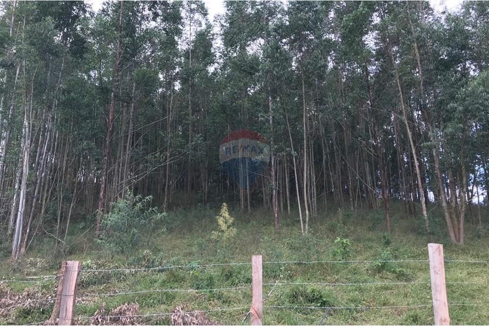 Chácara / Sítio / Fazenda - Venda - Socorro , São Paulo - IMG-20250520-WA0048.jpg - 690291056-39