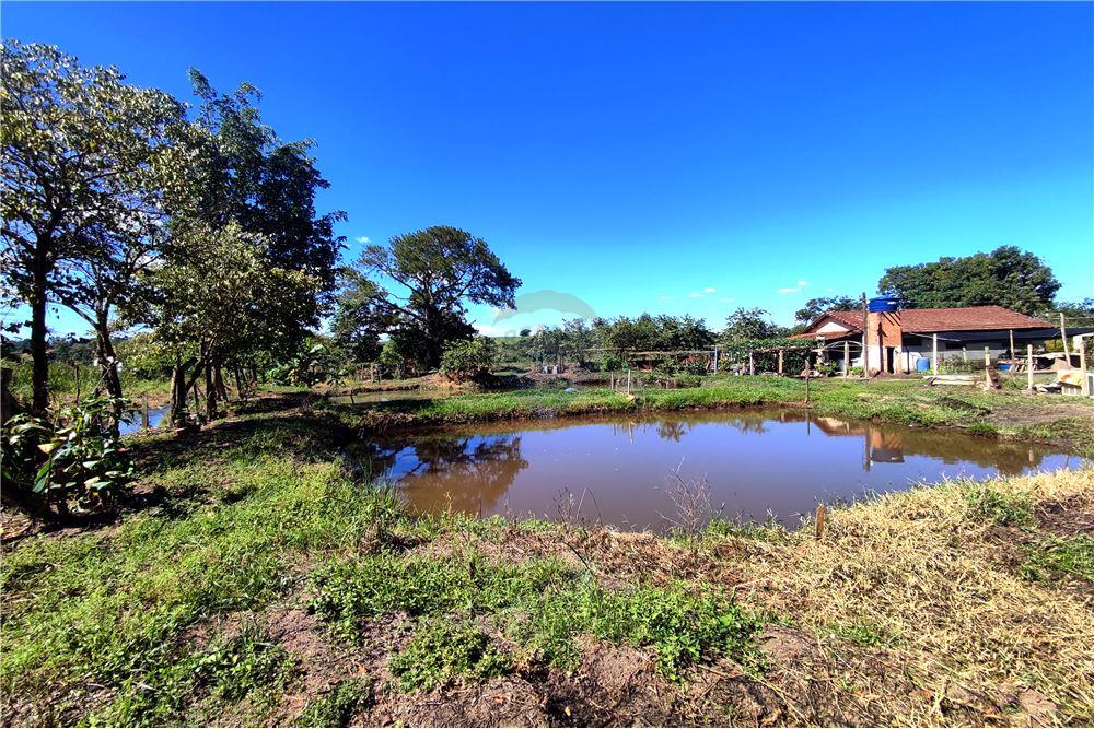 Chácara / Sítio / Fazenda - Venda - Mogi Guaçu , São Paulo - Jardim Externo - 690521015-158