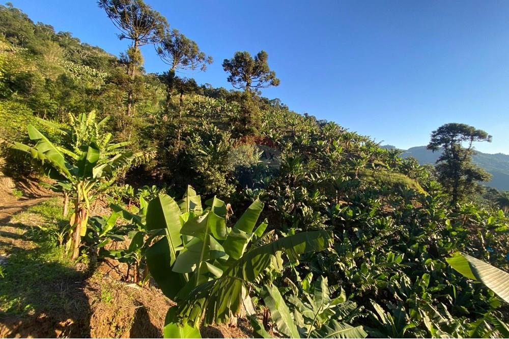 Fazenda - Venda - Miracatu , São Paulo - WhatsApp Image 2025-07-08 at 17.02.02.jpeg - 690061038-15