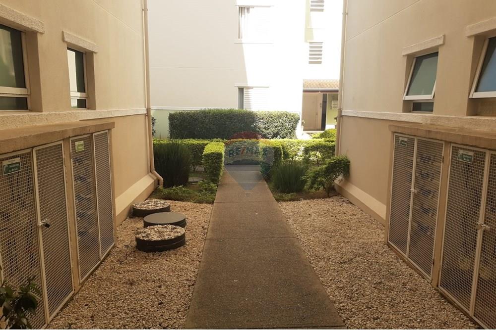 Apartamento - Alugar - Valinhos , São Paulo - 86f16be4-a649-4bb5-b5c8-d66da8c02b2b.jpg - 690851008-568