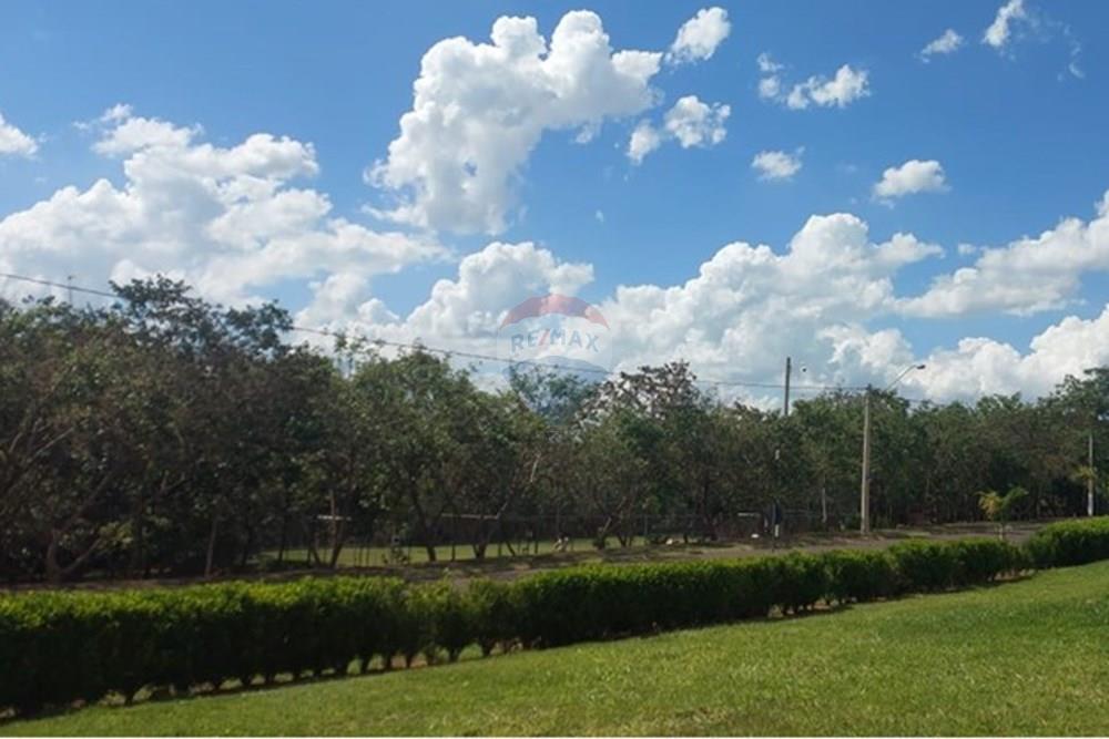 Terreno - Venda - Araraquara , São Paulo - 6728f4d6-786e-49c2-a719-91f2dfb619b3.jpg - 690151052-60