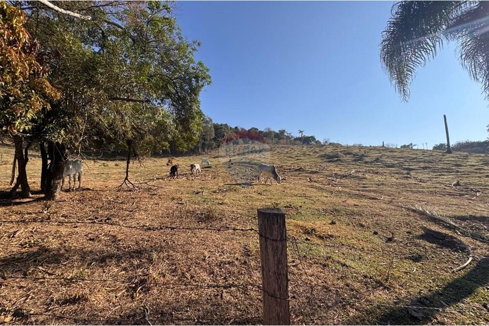 Terreno - Venda - Tuiuti , São Paulo - WhatsApp Image 2025-10-06 at 14.47.26 (1).jpeg - 690041052-114