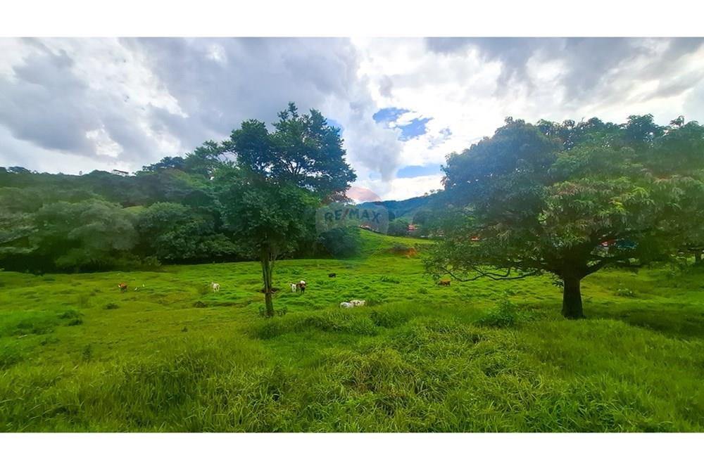 Terreno - Venda - Socorro , São Paulo - 20250319_150431.jpg - 690291056-27