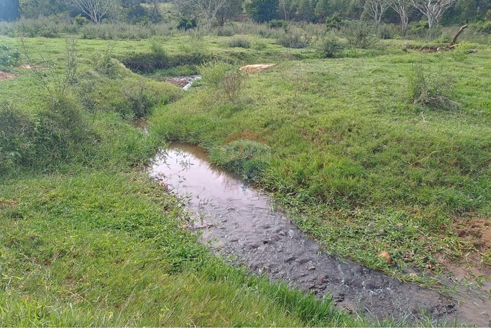 Chácara / Sítio / Fazenda - Venda - Santa Maria da Serra , São Paulo - c5344cc5-8188-436c-a185-48b026ea3175.jpg - 690571076-32