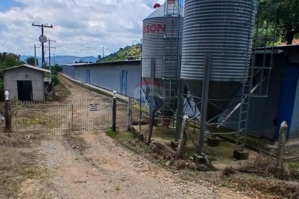 Chácara / Sítio / Fazenda - Venda - Bragança Paulista , São Paulo - 20260213_124505.jpg - 690141085-32