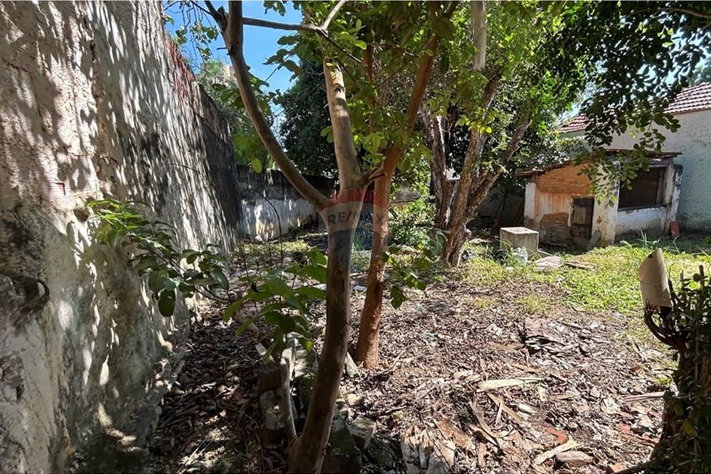 Terreno - Venda - Americana , São Paulo - IMG_8343.jpg - 690641010-528