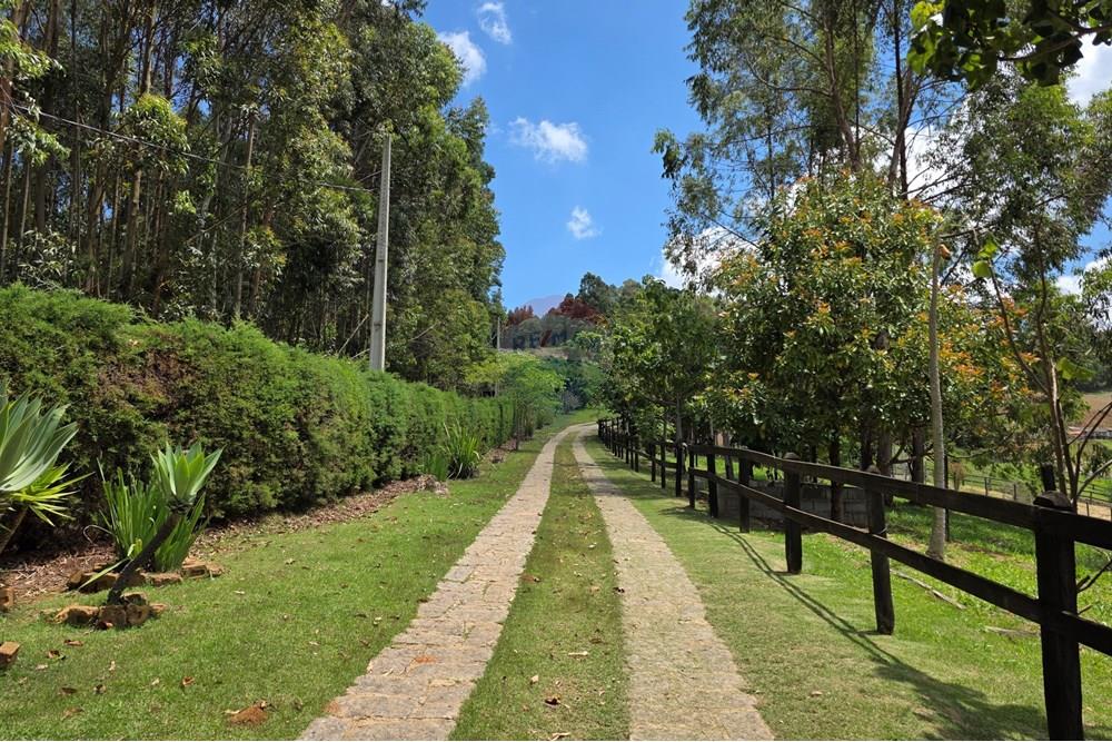 Chácara / Sítio / Fazenda - Venda - Pedra Bela , São Paulo - 20251111_125241.jpg - 690041041-48