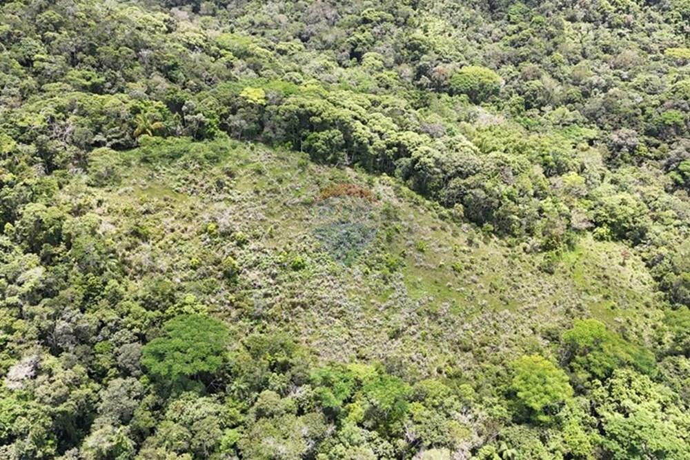 Fazenda - Venda - Pariquera-Açu , São Paulo - WhatsApp Image 2026-03-18 at 16.42.19 (1).jpeg - 690061038-24