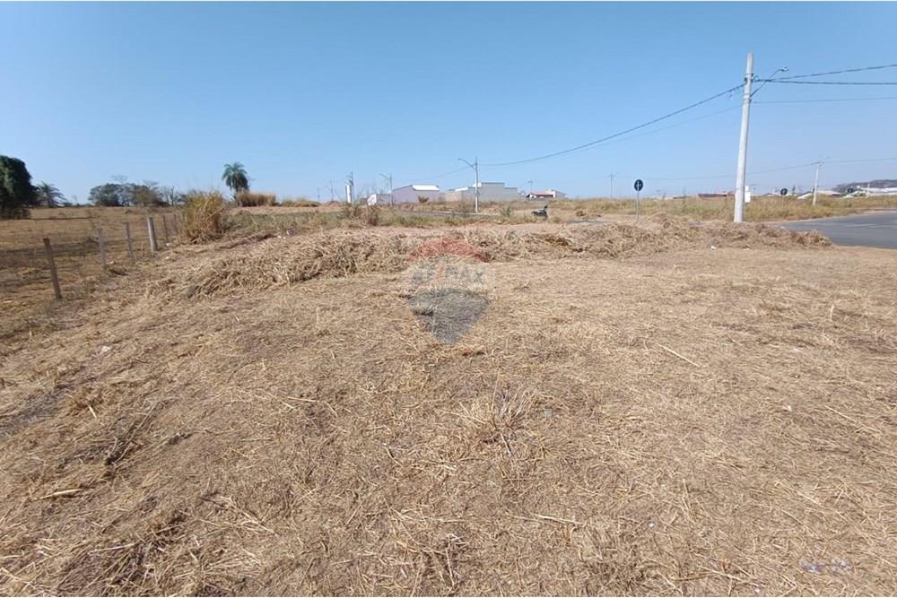 Terreno - Venda - Mogi Guaçu , São Paulo - WhatsApp Image 2025-07-22 at 13.07.01 (2).jpeg - Quintal - 690521005-196