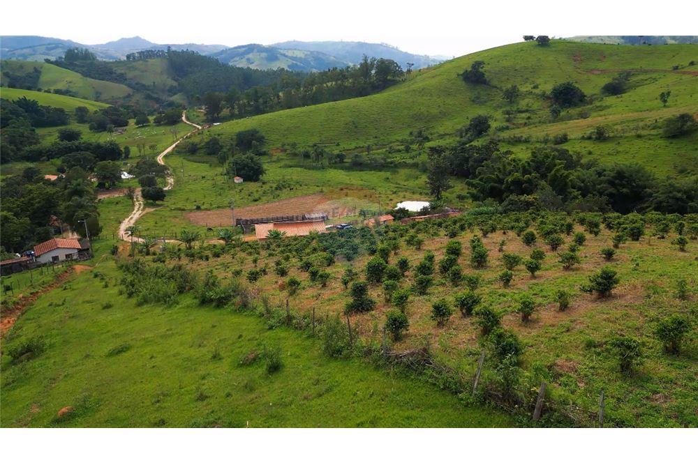 Chácara / Sítio / Fazenda - Venda - Lindóia , São Paulo - 4 - 690291077-296