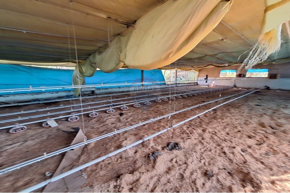 Chácara / Sítio / Fazenda - Venda - Itapira , São Paulo - 5566f676-aa45-421b-994c-f7b76871e055.jpg - 690751048-290