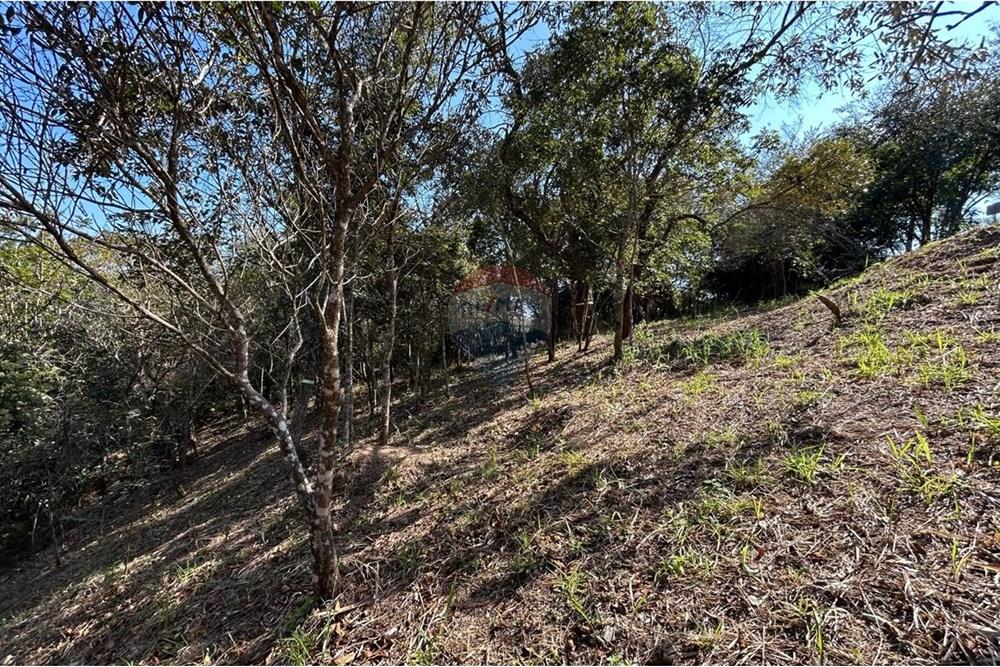 Terreno - Venda - Jarinu , São Paulo - IMG-20250819-WA0021.jpg - 690661027-137