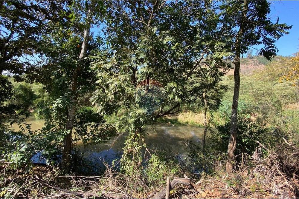 Chácara / Sítio / Fazenda - Venda - Jacutinga , Minas Gerais - WhatsApp Image 2025-08-06 at 14.30.44 (1).jpeg - 690291077-290