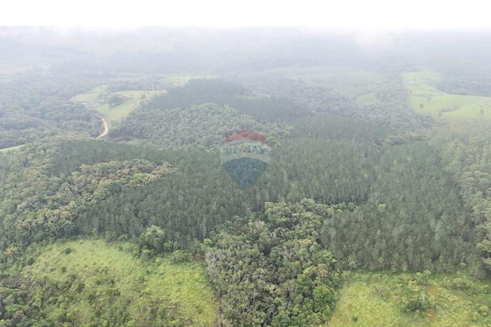 Fazenda - Venda - Jacupiranga , São Paulo - WhatsApp Image 2026-03-02 at 20.10.36.jpeg - 690061037-12