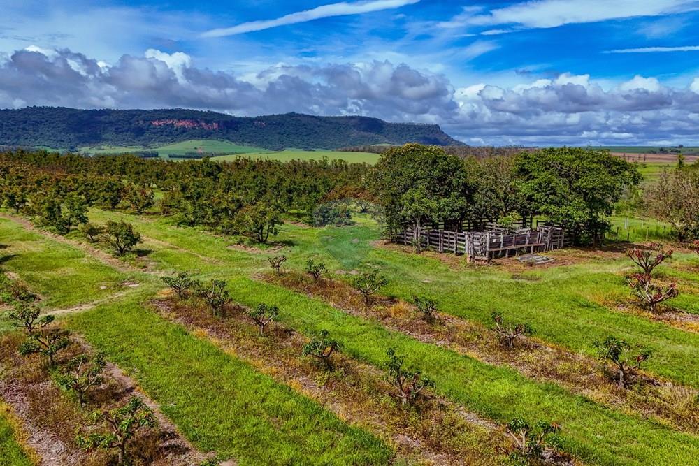 Fazenda - Venda - Analândia , São Paulo - Tratada - Drone-91.jpg - 690691016-305