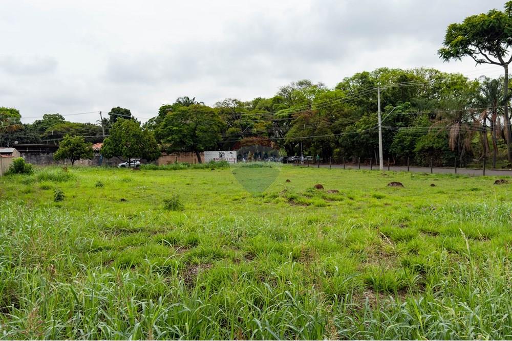 Terreno - Venda - Campinas , São Paulo - 1 (17).jpg - 691181018-45