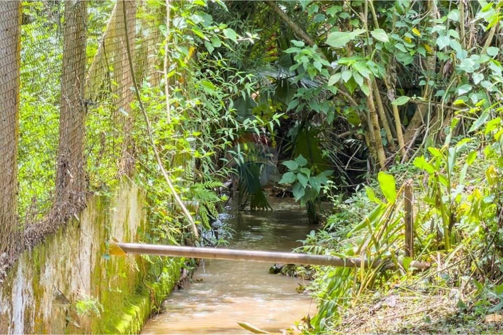 Chácara / Sítio / Fazenda - Venda - Jarinu , São Paulo - WhatsApp Image 2026-01-22 at 17.29.49 (26).jpeg - 690661027-149