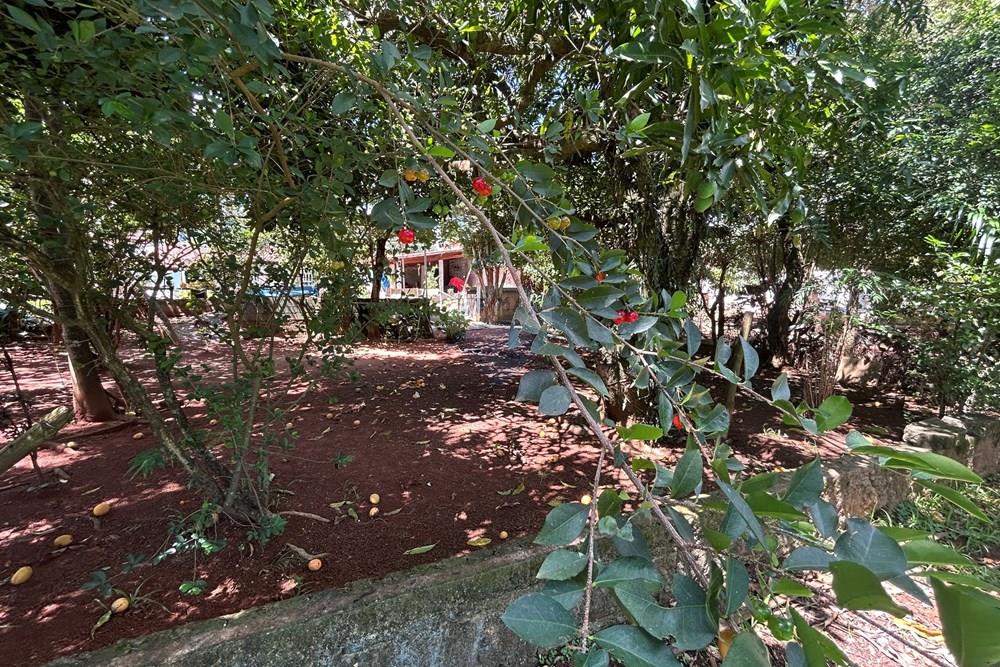 Chácara / Sítio / Fazenda - Venda - Nova Odessa , São Paulo - IMG_2804.JPG - 690641010-577