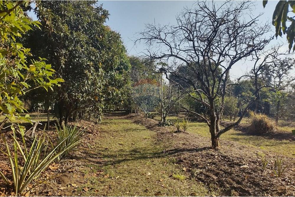 Fazenda à venda com 1 quarto, 69m² - Foto 6