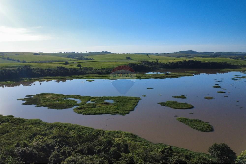 Chácara / Sítio / Fazenda - Venda - Itapira , São Paulo - dji_fly_20250520_160418_780_1747767913472_photo_optimized.jpg - Layout aberto - 690521005-81