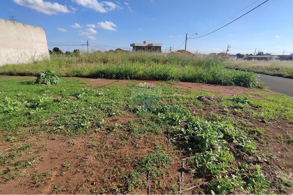 Terreno - Venda - Mogi Guaçu , São Paulo - IMG_20250430_153317.jpg - 690521005-80