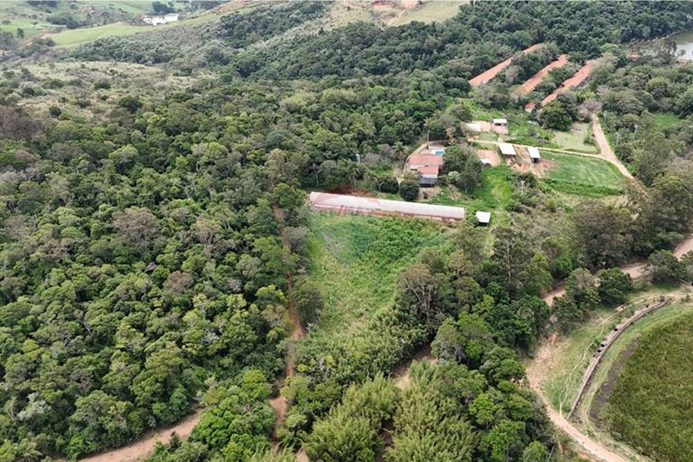 Chácara / Sítio / Fazenda - Venda - Pedreira , São Paulo - DJI_20251114125305_0038_D.JPG - 690671004-418
