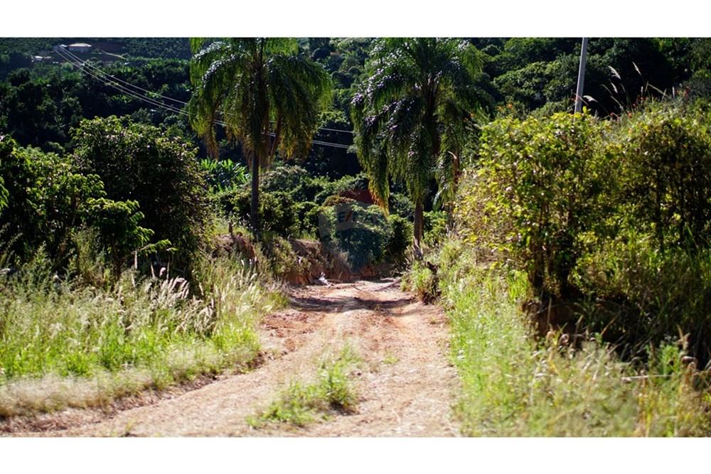 Chácara / Sítio / Fazenda - Venda - Serra Negra , São Paulo - _JEA8967.JPG - 690291056-34