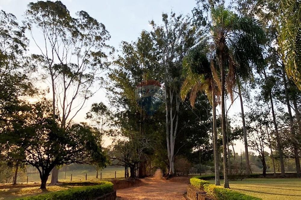 Terreno - Venda - Jaguariúna , São Paulo - F-001.jpg - 691191001-3