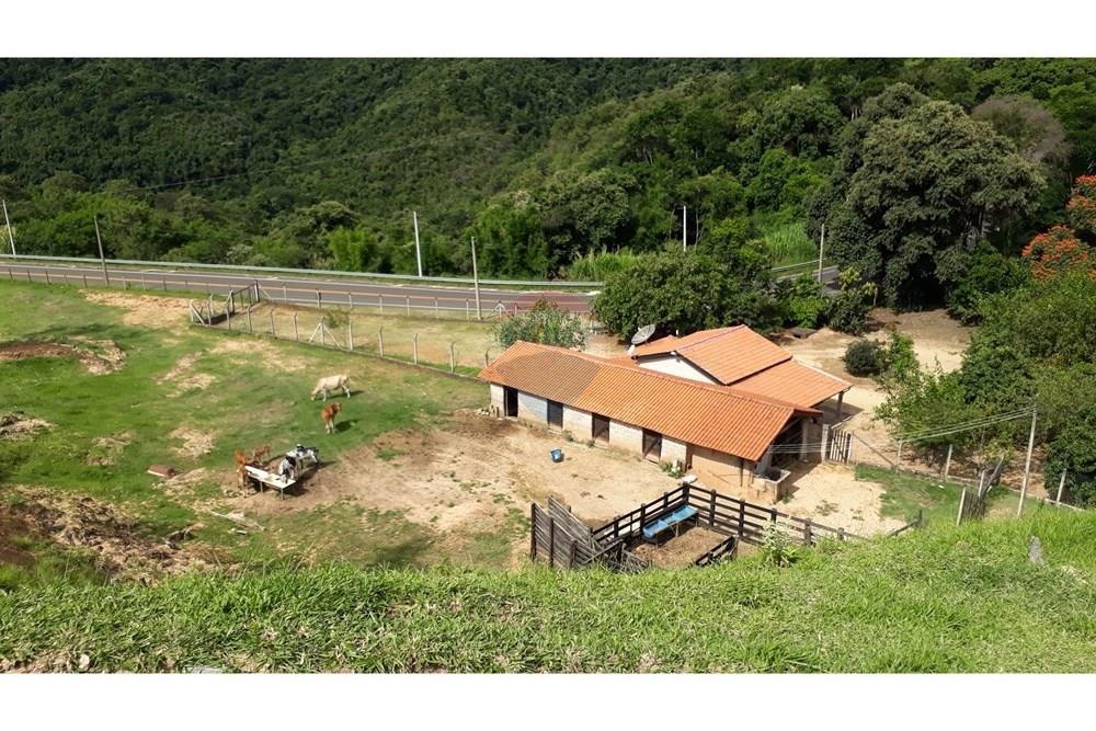 Fazenda - Venda - Serra Negra , São Paulo - 20250211_152346.jpg - 690291056-26
