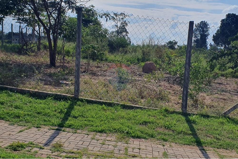 Terreno - Venda - Monte Mor , São Paulo - Frente terreno 1.jpg - 690531104-12