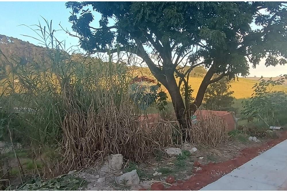 Terreno - Venda - Bragança Paulista , São Paulo - Imagem do WhatsApp de 2025-09-15 à(s) 11.54.03_6c975c14.jpg - 690041082-32