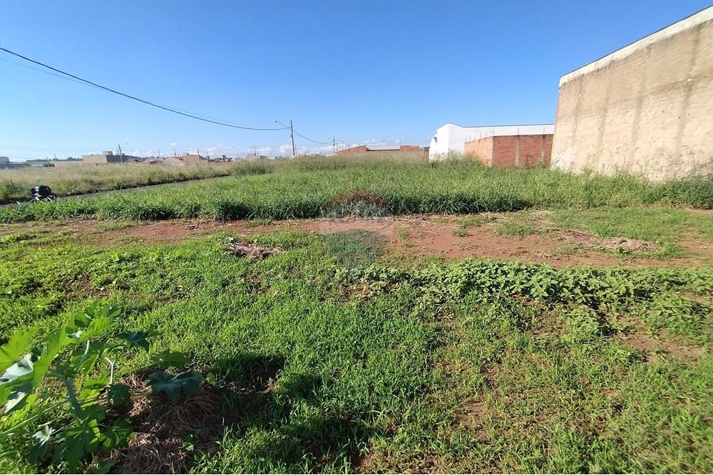 Terreno - Venda - Mogi Guaçu , São Paulo - IMG_20250430_153447.jpg - 690521005-80