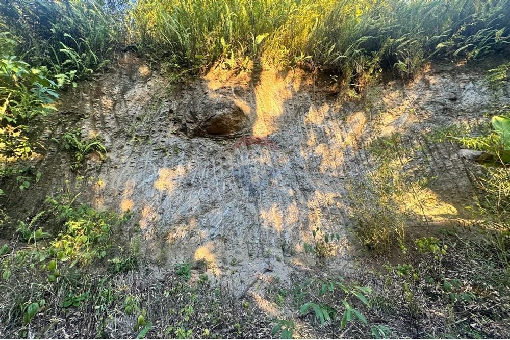 Fazenda - Venda - Miracatu , São Paulo - WhatsApp Image 2025-07-08 at 18.44.44.jpeg - 690061038-15