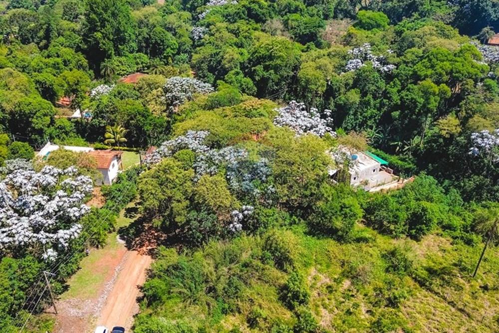 Terreno - Venda - Piracaia , São Paulo - dji_fly_20251127_100628_917_1764648860101_photo_optimized.jpg - 691011009-44