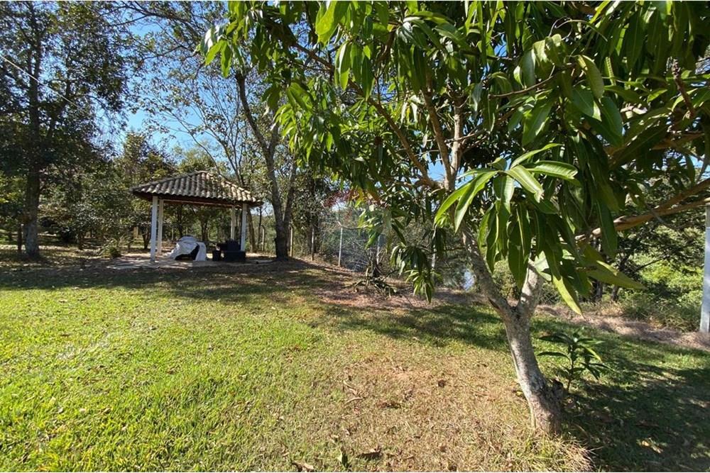 Chácara / Sítio / Fazenda - Venda - Jacutinga , Minas Gerais - WhatsApp Image 2025-08-06 at 14.30.53.jpeg - 690291077-290