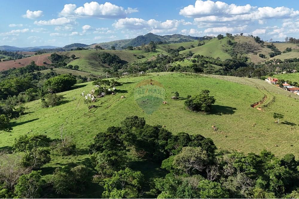 Chácara / Sítio / Fazenda - Venda - Socorro , São Paulo - DJI_20251121160753_0473_D.JPG - 690041041-39