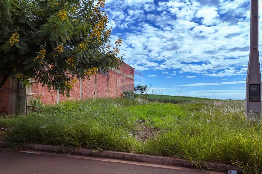 Terreno - Venda - Araras , São Paulo - Tratada - Drone-3.jpg - 690691009-189