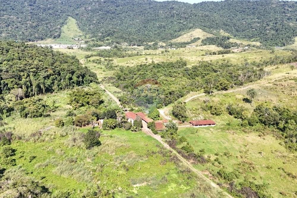 Fazenda - Venda - Miracatu , São Paulo - WhatsApp Image 2025-05-20 at 13.34.07 (1).jpeg - 690061038-9