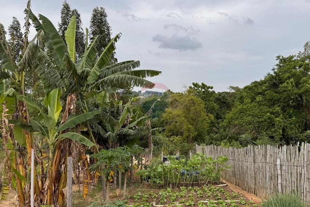 Chácara / Sítio / Fazenda - Venda - Mombuca , São Paulo - WhatsApp Image 2025-11-19 at 21.00.35 (1).jpeg - 690091006-559