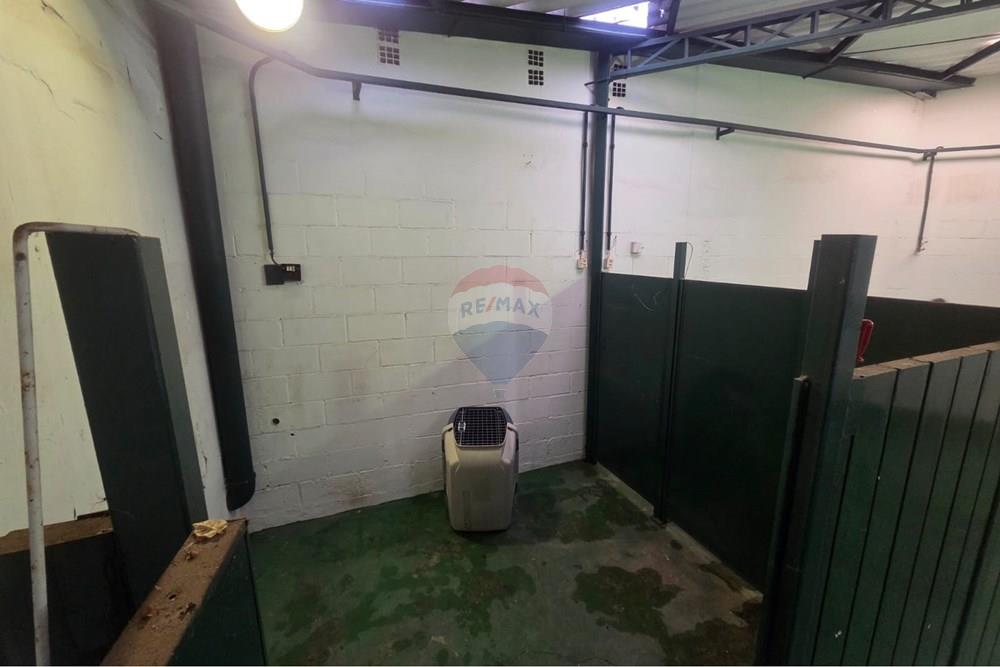 Galpão - Alugar - Campinas , São Paulo - WhatsApp Image 2026-01-28 at 18.05.09.jpeg - 690681149-76