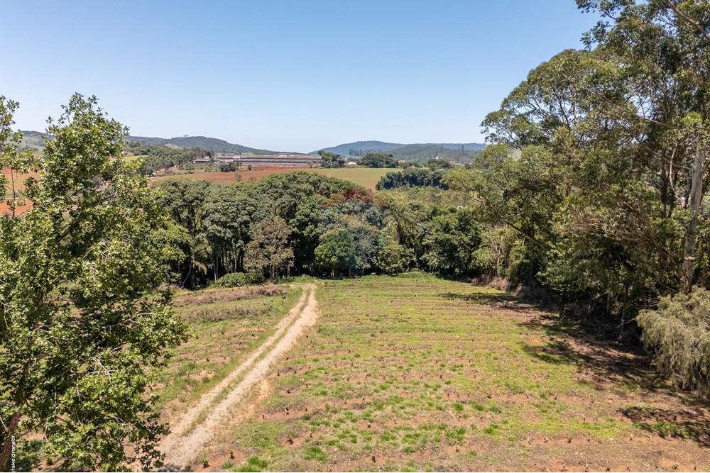 Chácara / Sítio / Fazenda - Venda - Morungaba , São Paulo - TKD-9533.jpg - 690661002-89