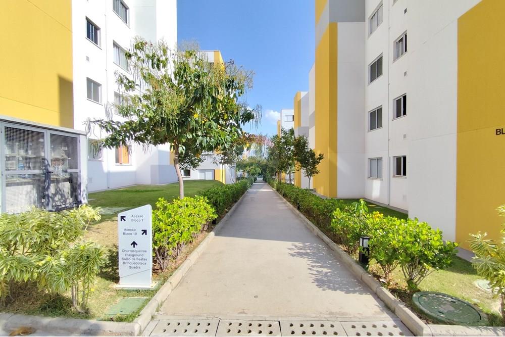 Apartamento - Venda - Paulínia , São Paulo - Imagem do WhatsApp de 2025-05-23 à(s) 23.00.52_c21ac409.jpg - 690511042-343